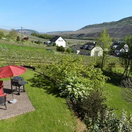 Schoene Und Modern Eingerichte Ferienwohnung Mit Terrasse Und Moselblick アパート